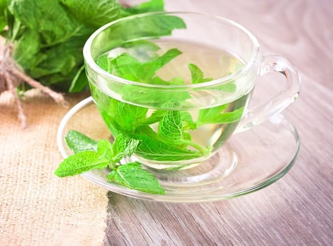 300+ Mint Seeds for Planting Mentha Non-GMO Herb Variety for Culinary
