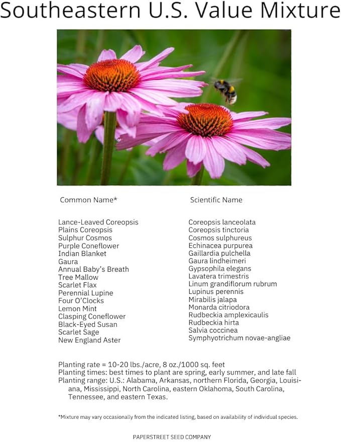 Southeastern US Bulk Perennial Wildflower Seed Mix 1lb Covers 2,000sq-ft - Attract Pollinators, Multi-Color Blooms - Southeast US Species Plant in Spring/Fall, Earth-Friendly Packaging (1/2 Pound)