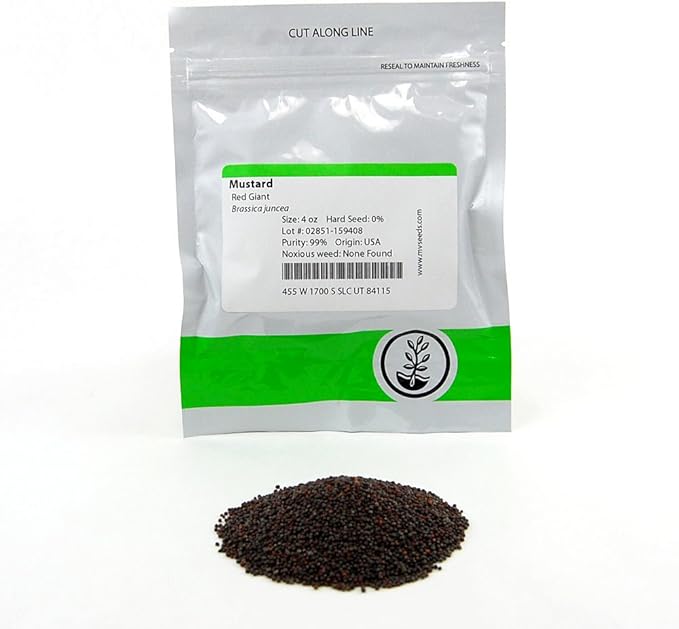 Red Giant Mustard Seeds: 4 Oz - Non-GMO Seeds for Herb Gardening, Growing Microgreens, Vegetable Garden