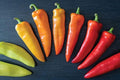 Vegetable Garden Seeds for Planting - Grow Heirloom Vegetables (Wax Pepper)