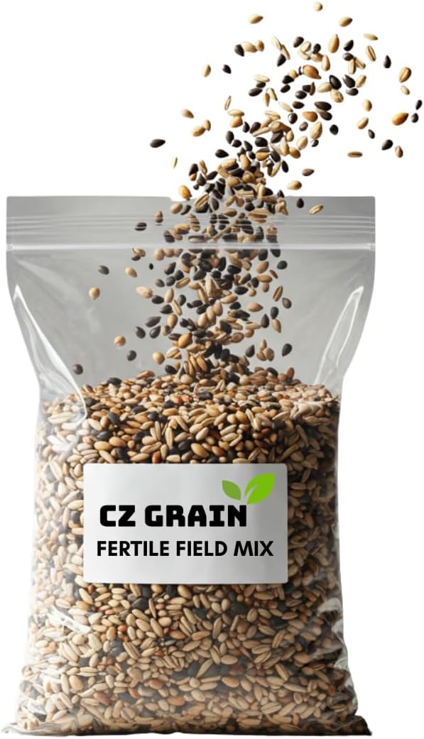 No-Till Cover Crop 10 Seed Mix - Winter Rye, White Clover, Austrian Winter Peas, Triticale, Crimson Clover, Cow Peas, Daikon Radish, Purple Turnips, Wheat, Oats, (2 Pounds)