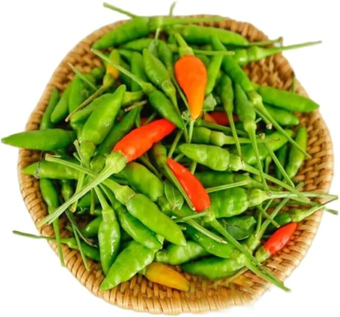 100+ Bird's Eye Chili Pepper Thai Seeds Hot Peppers Seeds Vegetable Thai Super Hot Planting