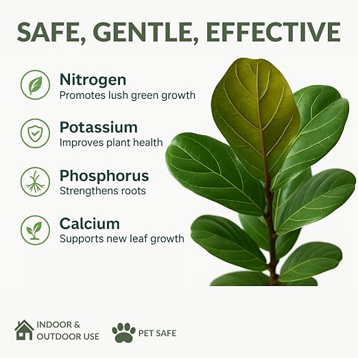 Fiddle Leaf Fig Fertilizer by Easy Harvesting – Premium 3-1-2 Liquid Plant Food | One Bottle Makes 118 Gallons | Pet Safe, Gentle Formula for Indoor Houseplants (16oz Pump Bottle)