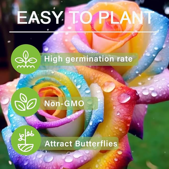 350+ Rare Multi Colorful Rainbow Rose Flower Seeds for Planting Outdoor