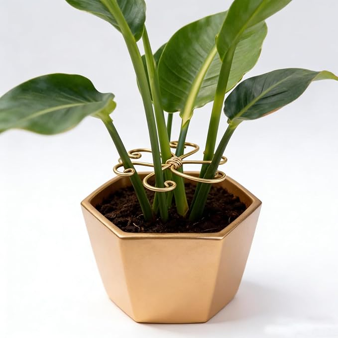 5Pcs Plant Stem Support, Monstera Climbing System, Durable Iron Hook Grapple Holder for Leaves and Turtle Shells, Outdoor Indoor Growing Plants Stabilization