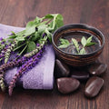 Seeds4planting - Seeds Garden Sage (Salvia Officinalis) Medicinal Herbs Perennial Heirloom Non GMO for Planting