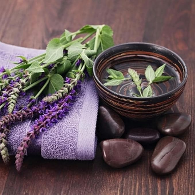 Seeds Sage (Salvia officinalis) Heirloom Herbs for Planting Non GMO