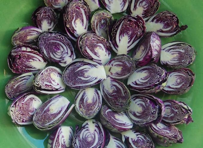 SeedsUP - 100+ Seeds Rosella Brussels Sprouts Cabbage - Vegetable Purple