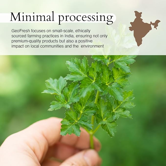 Geo-Fresh Organic Parsley, 0.42 oz (12g), Seasoning | Soups & Salads | Non-GMO, Kosher, 100% Organic, Gluten Free, USDA Certified