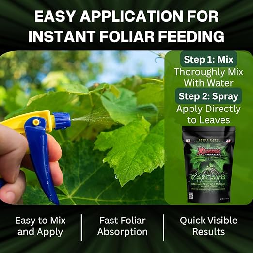 Xtreme Gardening CalCarb Calcium Foliar Spray — Supports Photosynthesis, Stress Resistance & Prevents Blossom End Rot — for Indoor & Outdoor Plants, 6 oz