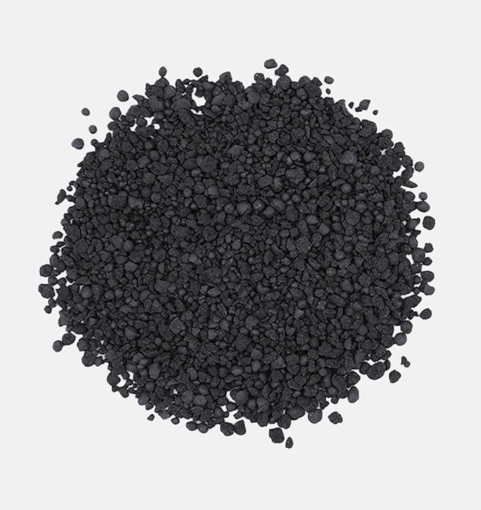 The Andersons BioChar DG Organic Soil Amendment - Covers up to 5,000 sq ft (10 lb)