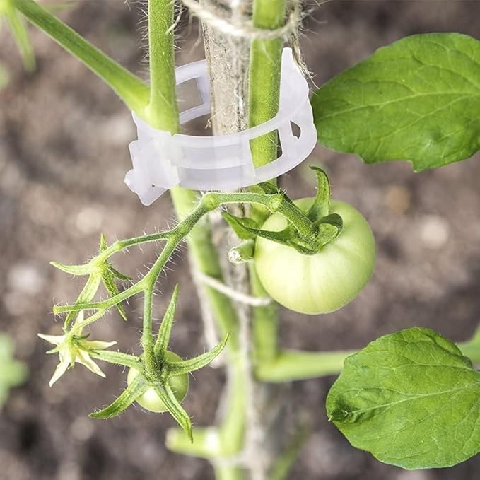10pcs Tomato Support Hooks with 20pcs Tomato Clips, J Hooks to Prevent Tomatoes from Pinching or Falling Off, Garden Hooks with 33.3ft Twine, Plant Climbing Hooks for Tomatoes Cucumber (10)