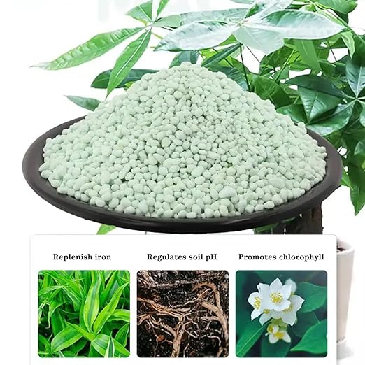 GRANDAN 3 Lb Ferrous Sulfate Heptahydrate - 3/16 Inch FeSO4*7H2O Granules - 20% Iron (Fe) Stable and Easy to Store - Organic Lawn Fertilizer for Vegetables and Plant Growth
