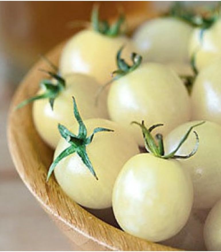 Tomato 'Snow White Cherry' Seeds – Indeterminate Annual Vegetable (Solanum lycopersicum) | 55–65 Days, Open-Pollinated, Sweet & Creamy White Cherry Tomatoes