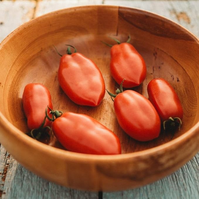 San Marzano Tomato - 50 Seeds - Flavorful Italian Paste Tomato, World Renowned for Canning & Sauce Making, Non-GMO Heirloom Roma Tomato Seeds for Planting in The Home Garden, Thresh Seed Company
