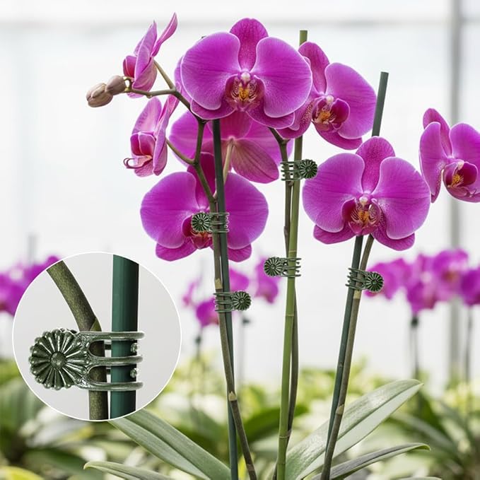 Plant Clips Orchid Clips 100 PCS Plant Clips for Climbing Green Plants Orchid Clips for Plants Support Garden Clips Plant Support Clips Vine Clips Plant Clips for Outdoor Plant Support Stem Vine Stalk