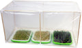 Mini Greenhouse for Indoor Plants ,Nursey Greenhouse for Seed Starter Tray,Plant Cover Freeze Protection,Small Green House for Seed Germination Kit