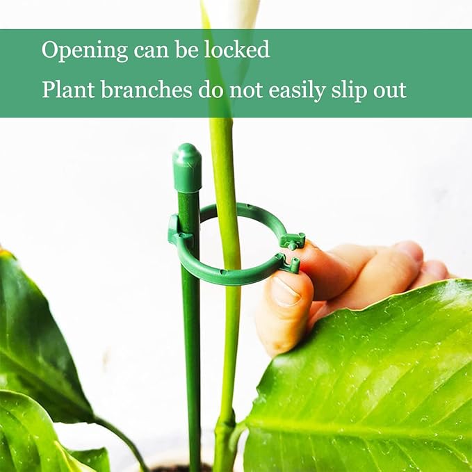 Belit 8 Pack Small Plant Support Plant Stakes, Adjustable Garden Single Stem Support Stake, Planter Support Ring for Orchid, Rose, Peony, Peppers and More, 12 inch