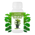 Organic Fiddle Leaf Fig Fertilizer Liquid - 10oz Microbial Probiotic Plant Food for Ficus Lyrata - Promotes Roots & Greener Leaves