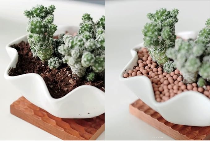 3.0 LB Clay Pebbles, Gardening Ceramsites Growing Media for Succulents Orchids, Aquaponics, Aquaculture Hydroponics. Ceramsite Clay Rocks Decor Cultivation, Leca for Plants (Clay Pebbles)