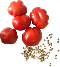 Smoke Camp Crafts Mini Wrinkles Cherry Tomato (Solanum lycopersicum) 150 Organic Seeds (0.5 gram) - Pleated Cherry Tomato