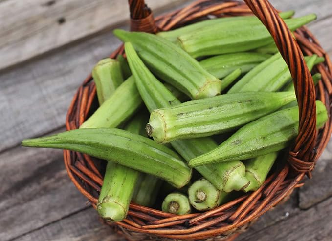 Okra Seeds for Coffee Lady's Finger Bamia Vegetable for Planting Giant Non GMO 20 Seeds