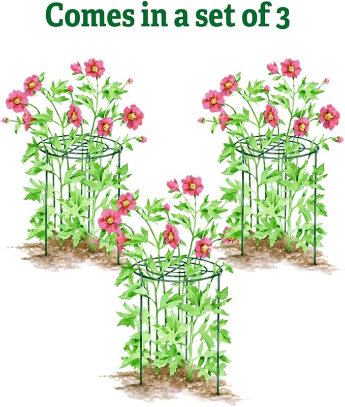 Gardener's Supply Company Grow Through Plant Support | Sturdy Metal Support Frame for Peonies, Roses Flower Garden Cage | Wide Top Rings Bouquet Shape |18" D X 24" H (Set of 3)