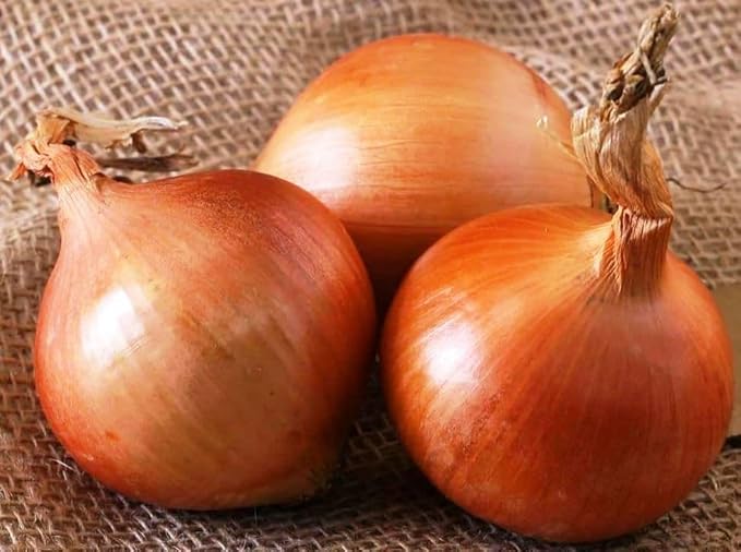 Seeds Chalcedony Onion - Heirloom Vegetable - GMO Free