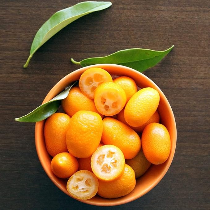 Gardenera's Premium Kumquat Soil Mix - Quick Drain Potting Soil for Growing and Repotting Citrus Japonica - 5 Quart
