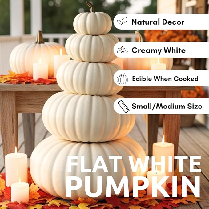 Pumpkin Seeds for Planting – 10 Exotic White Flat Stacker Seeds – Rare, Hard-to-Find Pumpkin, Squash, and Gourd Variety – Perfect for Vegetable Gardens