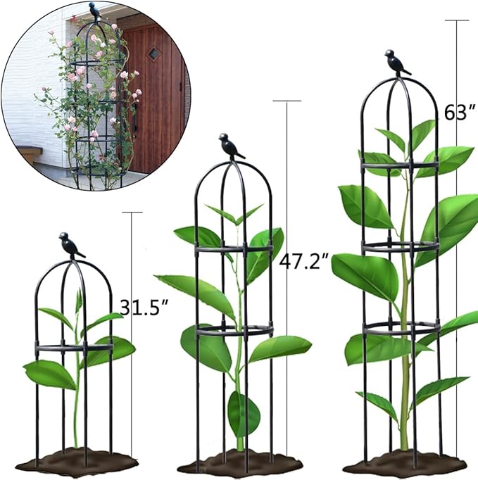 Garden Trellis,2 Pack Tomato Cage for Climbing Plants Outdoor, Plants Trellis Support for Climbing Vines, Plant Support for Vegetables, Plant Flower Trellises for Clematis Jasmine Outdoor Indoor