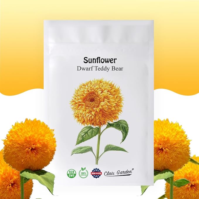 Sunflower Seeds - Teddy Bear - 100 Seeds - Heirloom, Non-GMO, USA Grown, Excellent for Pollinators, Annual, Deer Resistant - Low-Maintenance Sunflower Seeds for Any Home Garden
