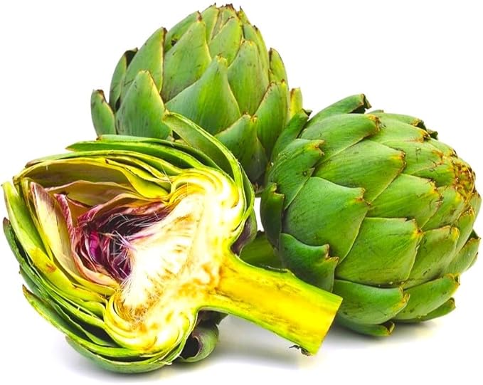 Artichoke Seeds 20 Seeds for Planting Non-GMO