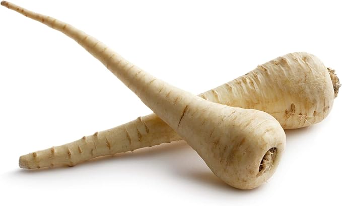 All American Parsnip Seeds 100 Count, COOL BEANS N SPROUTS Brand. Heirloom. Non-GMO. Home Gardening.