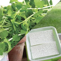 Park Seed Easy DIY Planting Sow Effortless Collection Seed Mats, Organic Arugula Microgreen, (Set of 2)