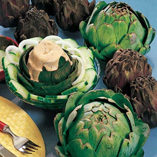 Park Seed Imperial Star Artichoke Seeds