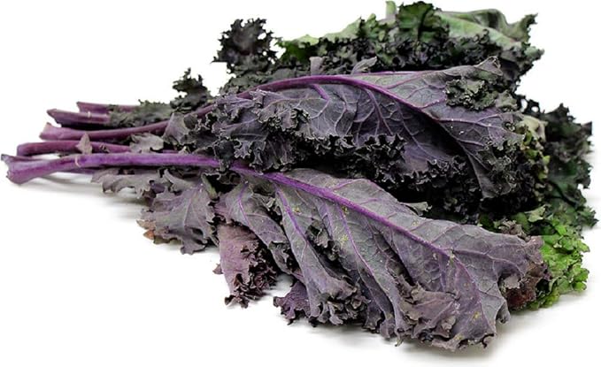 Red Kale, 25 Seeds,Non-GMO Garden Seeds by Country Creek Acres