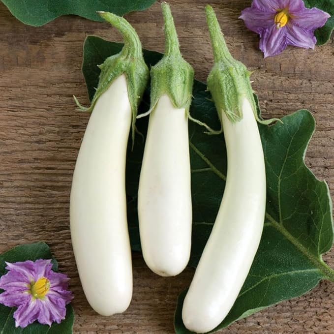 Seeds White Eggplant - Heirloom Vegetable - GMO Free