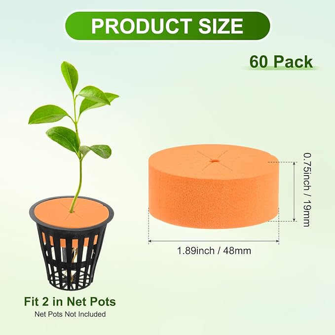60-Pack Cloning Collars Inserts, Hydroponics Sponge Systems Cloning DIY Foam Cloner Inserts Fits 2" Net Pots for Hydroponic/DIY Cloner/Clone Machines/Plant Germination [Orange]
