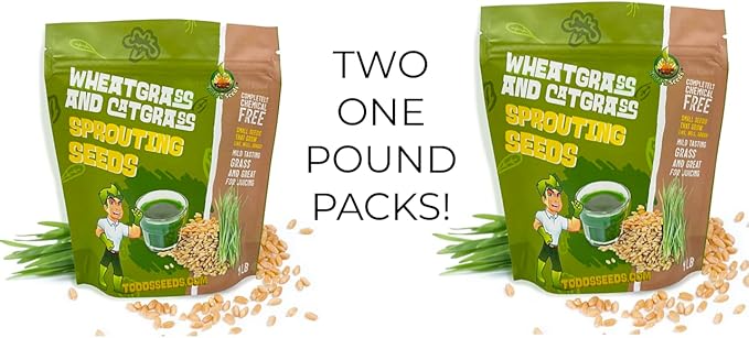 Todd's Seeds - (2-Pack) Wheatgrass Seeds, One Pound, Cat Grass Seeds, Hard Red Wheat, Total of 2Lbs