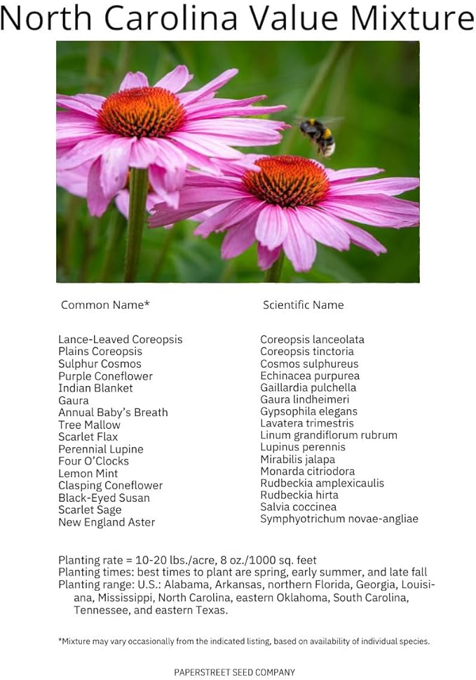 North Carolina Bulk Perennial Wildflower Seed Mix 1lb Covers 2,000sq-ft - Attract Pollinators, Multi-Color Blooms - Southeast US Species Plant in Spring/Fall, Earth-Friendly Packaging (1/2 Pound)