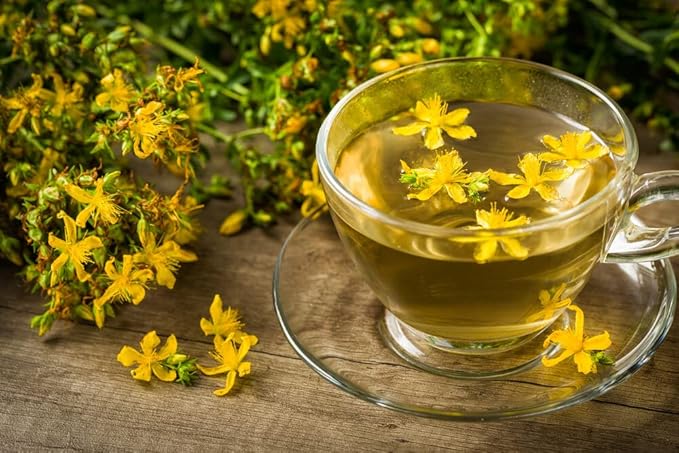 SeedsUP - 1500+ Seeds St. John's Wort - Herb Yellow