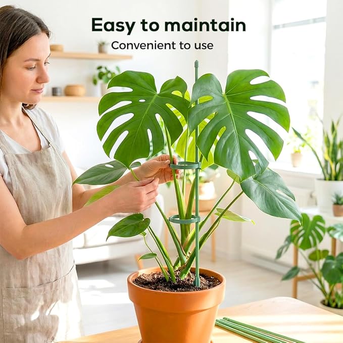 Plant Stakes Set, 2026 New Plant Support Stakes with Clips, Adjustable Plant Support Structures for Indoor Outdoor, Plant Holder Sticks for Stabilizer Tall Potted Plants, Monstera,Orchids (10, 11.8in)