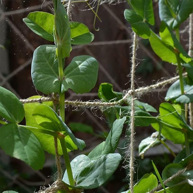 Jute Trellis Netting - Jute Netting for Garden, Heavy Duty Plant Support Netting for Climbing Plants, Cucumber, Vine, Fruits & Vegetables, Climbing Vining Plants (3.3 Ft X 16.4 Ft, 3.9 Inch Squares)