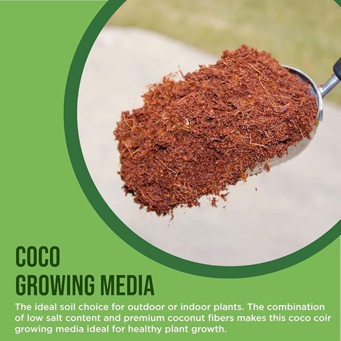 Coco Coir for Plants 6-Pack – 2.4 Gallons Compressed Coconut Coir Bricks, 1.5 lb. Bulk, Low EC, pH Balanced, Natural Coco Peat for Indoor & Outdoor Gardening, Potting Soil, Indoor Plant Soil