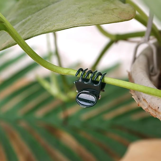 Plant Clips Orchid Clips Plants Orchid Support Clips 50Pcs Flower Vine Clips for Supporting Stems Vines Stalks Climbing Plant Grow Upright (Green, 0.6x0.86in) (Green, 0.6x0.86in)