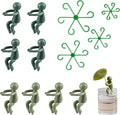 BoAn 8 Pcs Plant Propagation Buddy + 4 Pcs Plant Stem Support, Indoor Plant Support for Cuttings Seedlings & Vines Organize Pothos Ivy Decorative Indoor Garden Gift