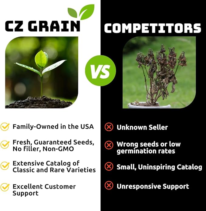 Bocking 14 Comfrey Root Cuttings to Grow - Many Uses, Pretty Flowers - Unrooted Cuttings, Grow Easily (6 Cuttings)