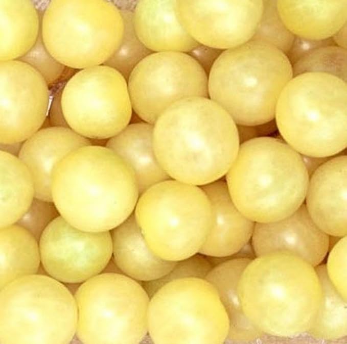 Tomato 'Snow White Cherry' Seeds – Indeterminate Annual Vegetable (Solanum lycopersicum) | 55–65 Days, Open-Pollinated, Sweet & Creamy White Cherry Tomatoes