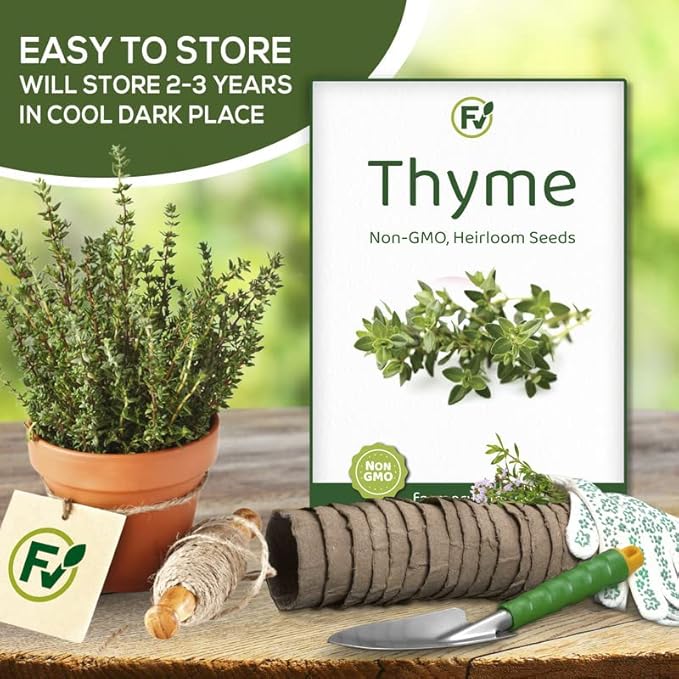 Thyme Seeds for Planting Home Garden Herbs - Non-GMO, Heirloom, Untreated, and USA Grown Variety - Individual Pack of 200+ Heirloom Seeds, Suitable for Outdoors, Indoors, and Hydroponics
